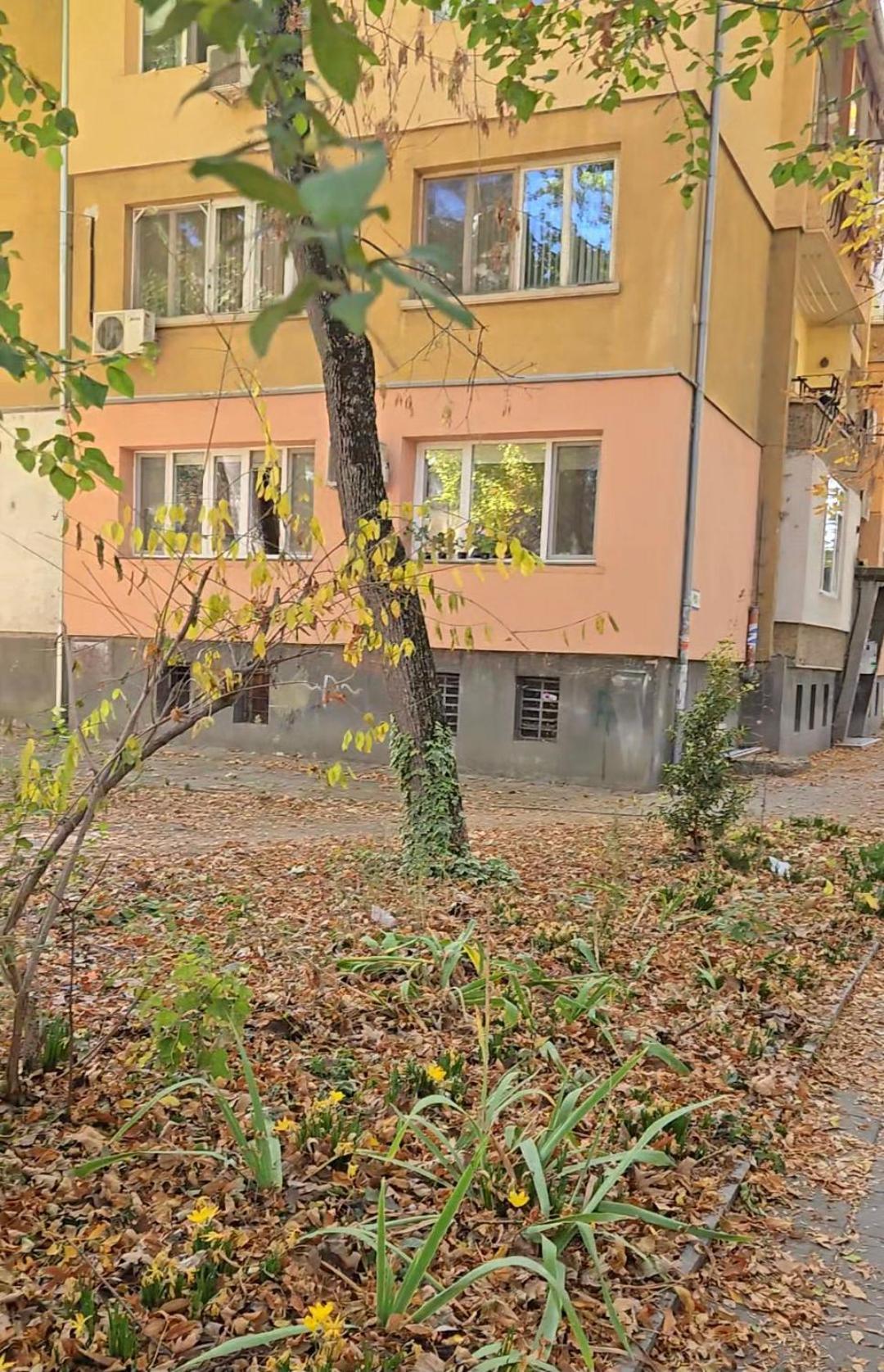 Ferienwohnung Zoev Plowdiw Exterior foto